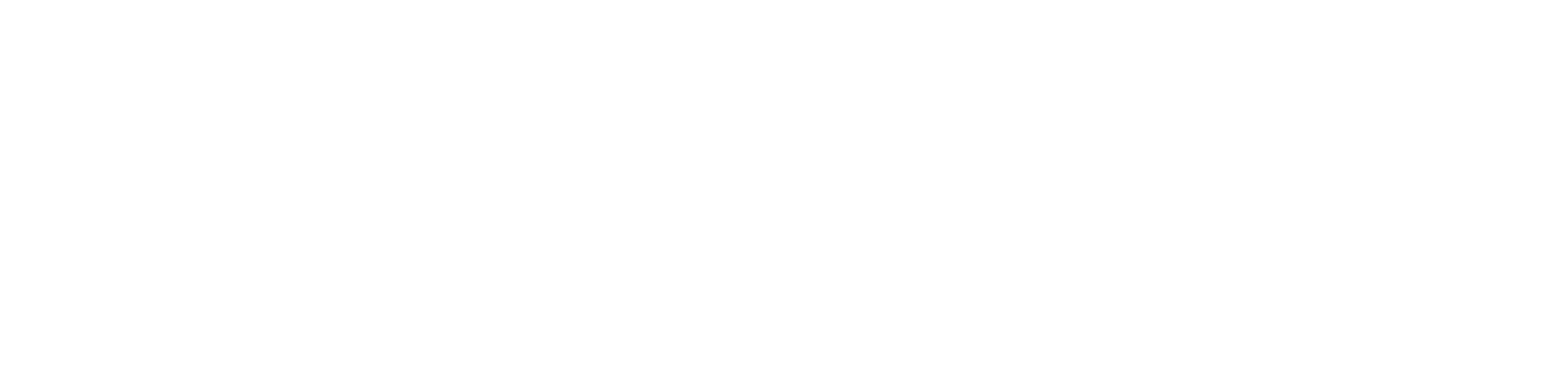 NUR International University
